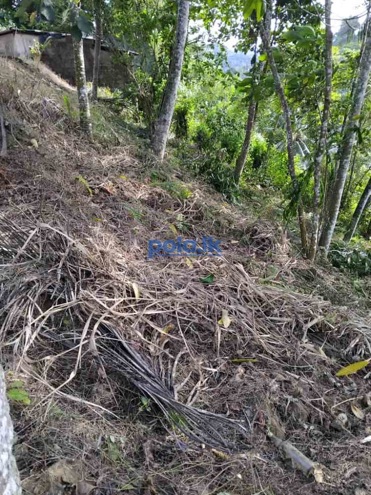 Land for sale in rathnapura hidellana - photo 5