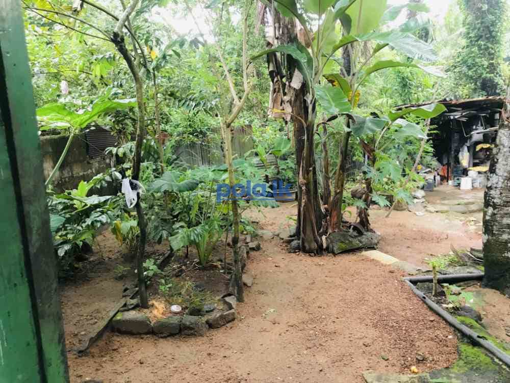 Two stories house for sale urgently - photo 11