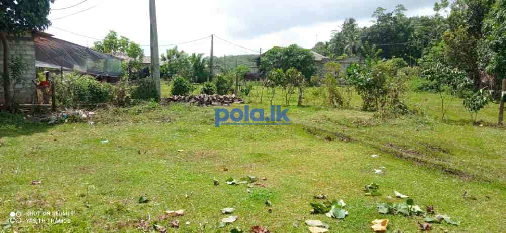 Land for sale in bandaragama millaniya - photo 3