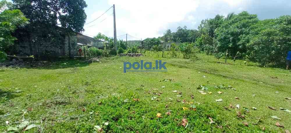 Land for sale in bandaragama millaniya - photo 2