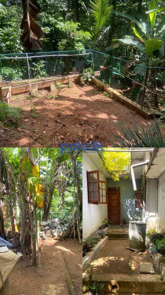 2 Storey house for sale - photo 6