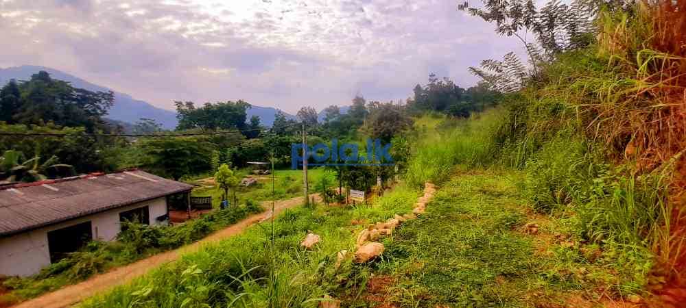 Land sale in kaikawala - photo 8