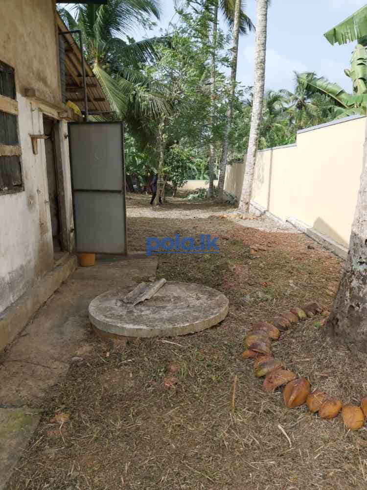 Land for sale In beruketiya homagama - photo 2