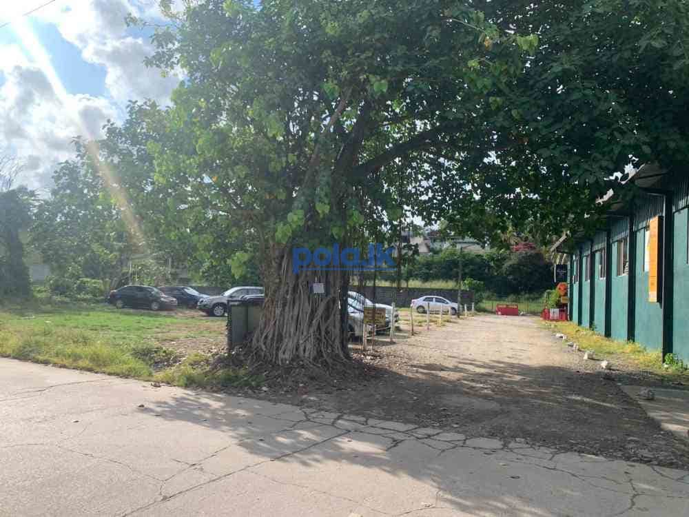 Prime located land for sale in talwathugoda - photo 5