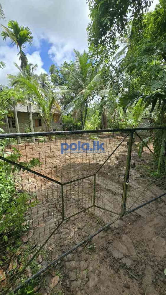 Land for sale - photo 2