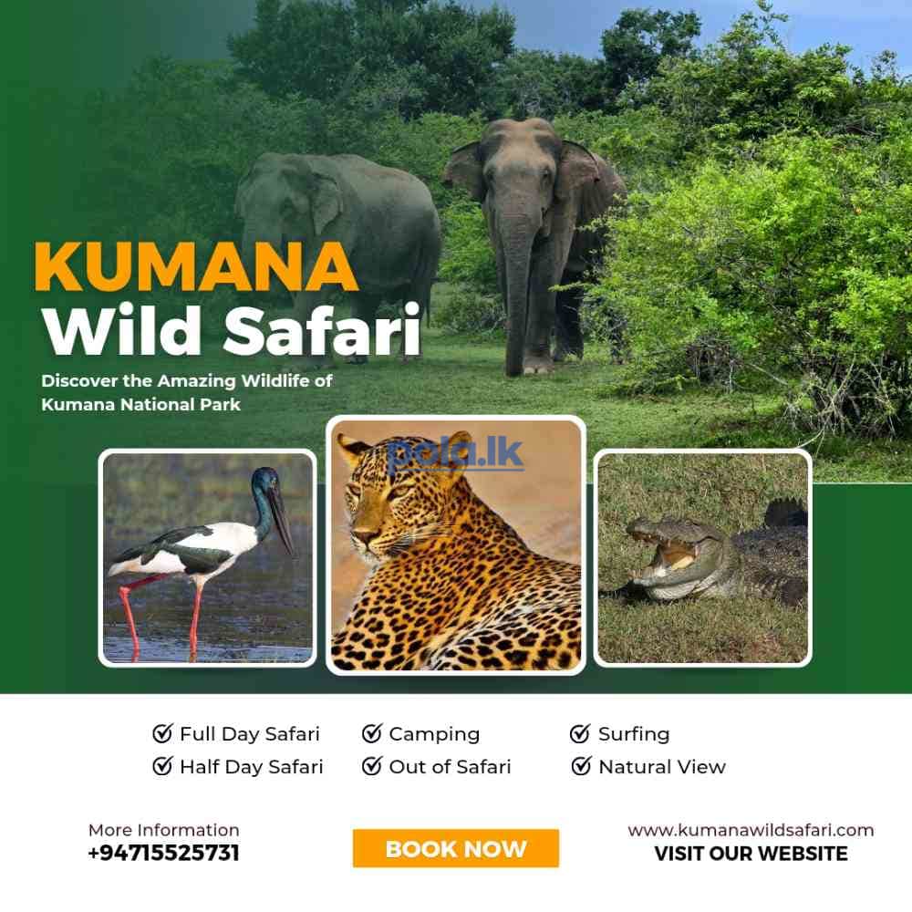 Kumana wild safari - photo 1