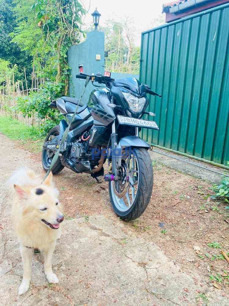 Bajaj NS200 - photo 3