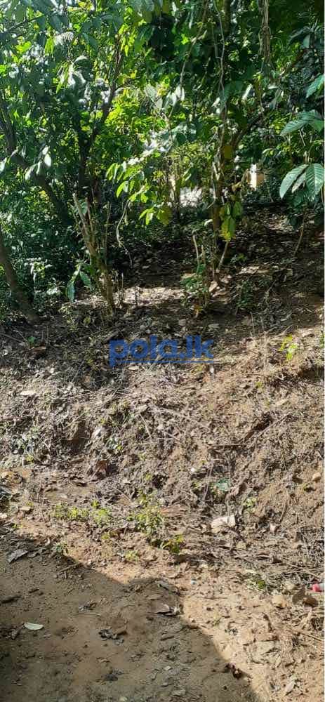 Land for sale in ukuwela - photo 3