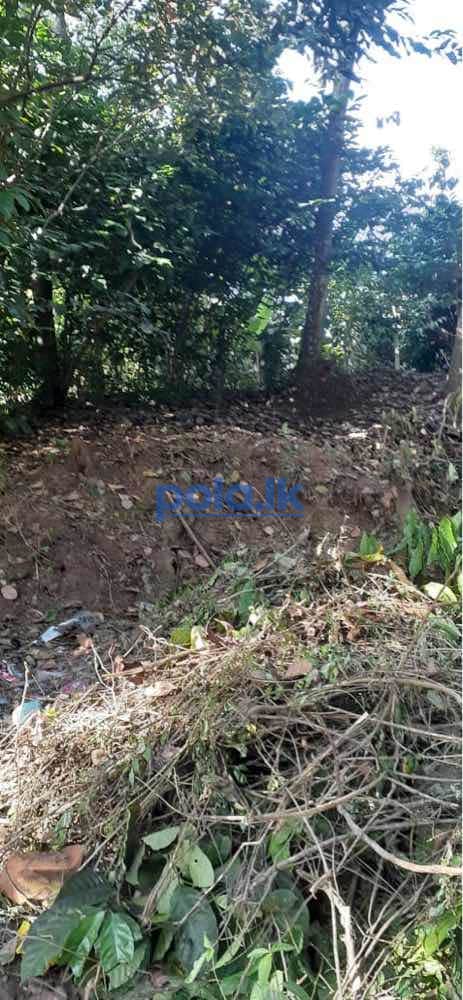 Land for sale in ukuwela - photo 1