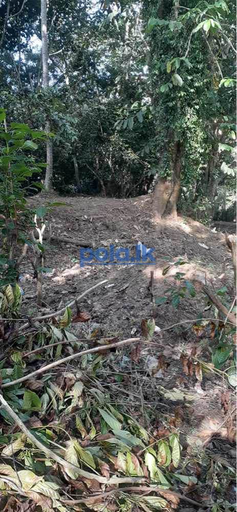 Land for sale in ukuwela - photo 4