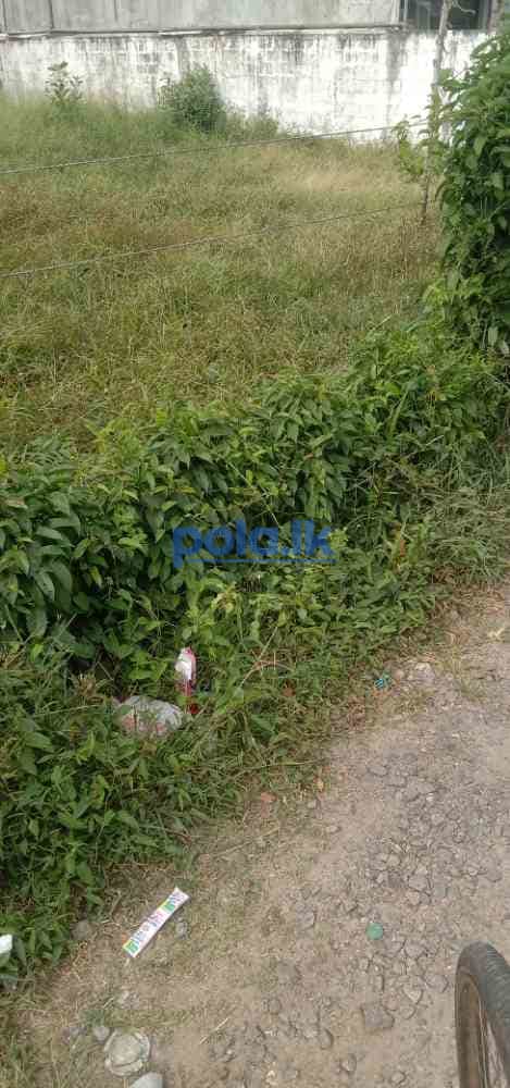 Commercial land for sale in negombo - photo 4