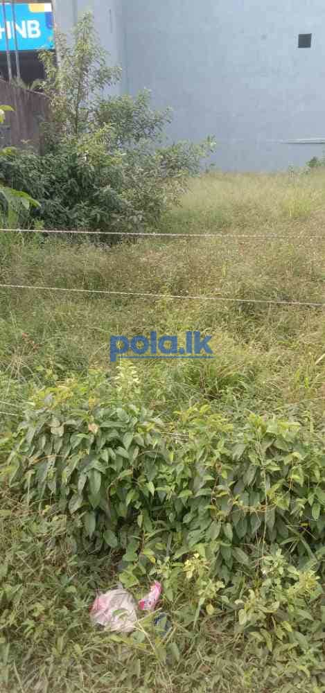Commercial land for sale in negombo - photo 6