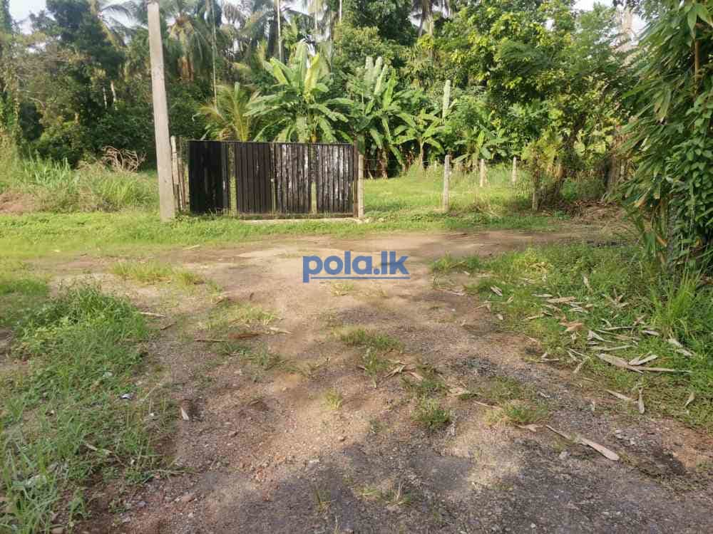 Land for sale in kaduwela - photo 2