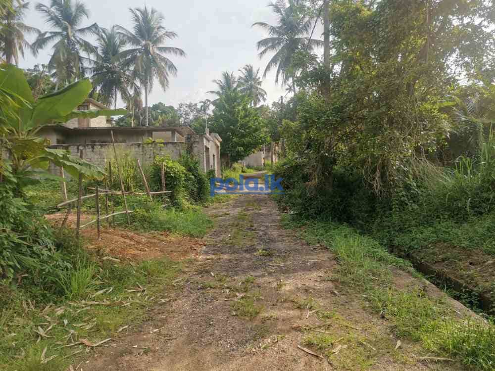 Land for sale in kaduwela - photo 6