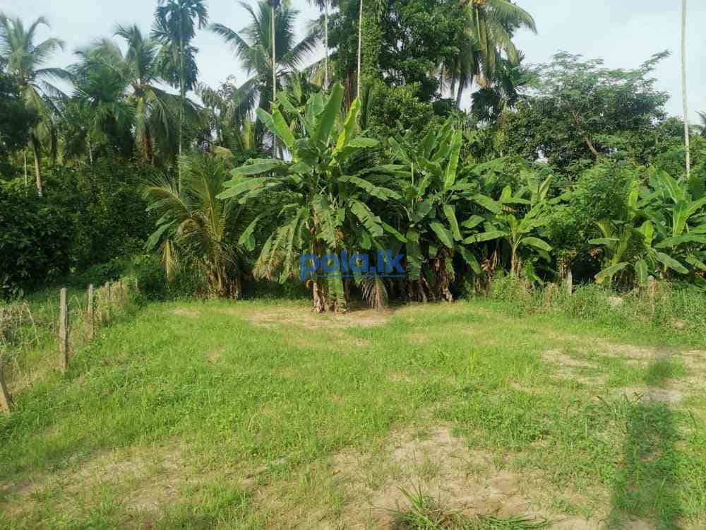 Land for sale in kaduwela - photo 3