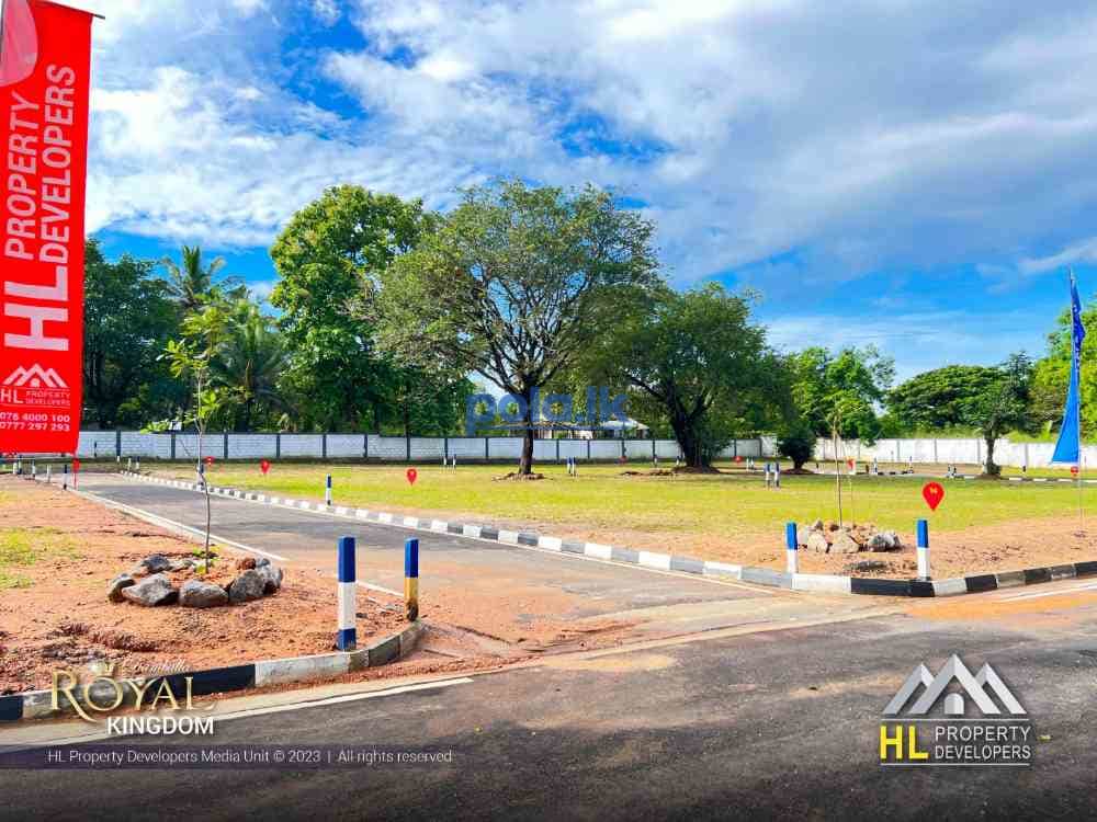 Land for sale in dambulla - photo 5