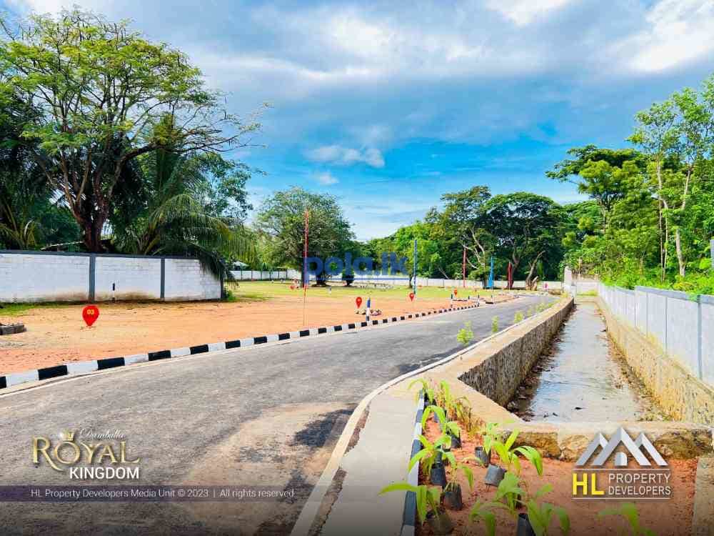 Land for sale in dambulla - photo 4