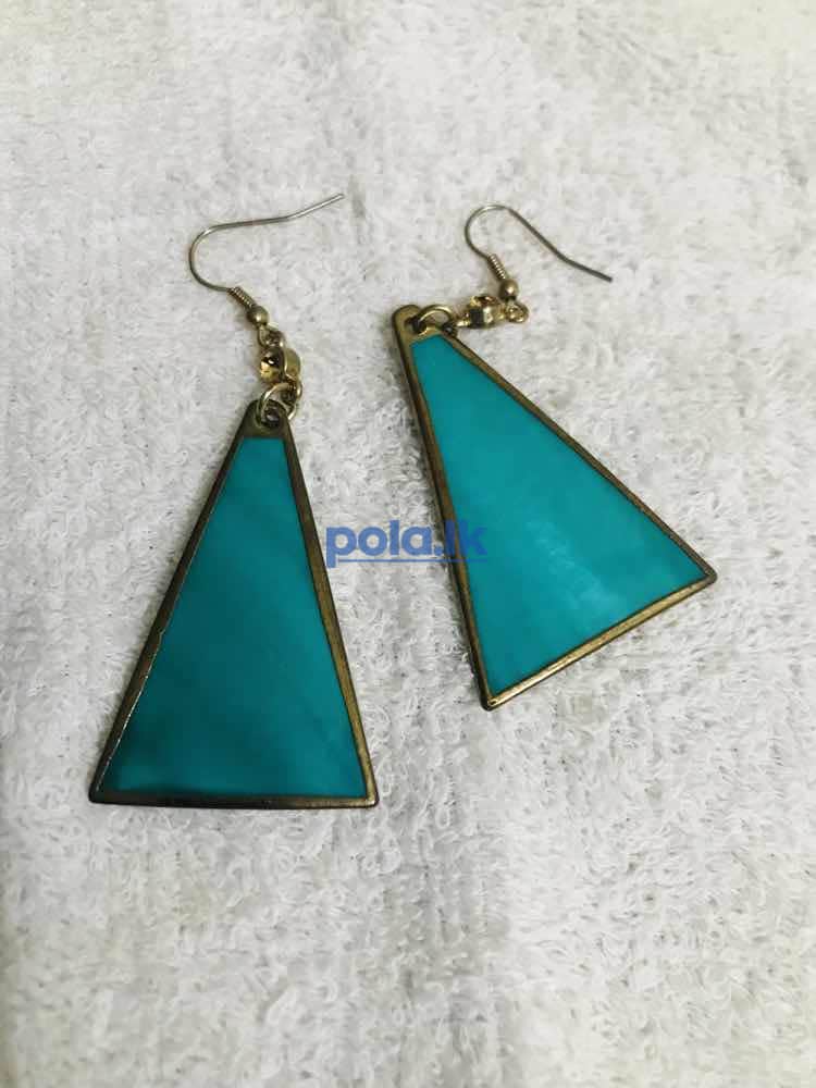 Used earnings - photo 5