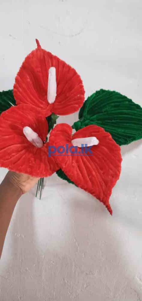 Anthurium flowers - photo 3