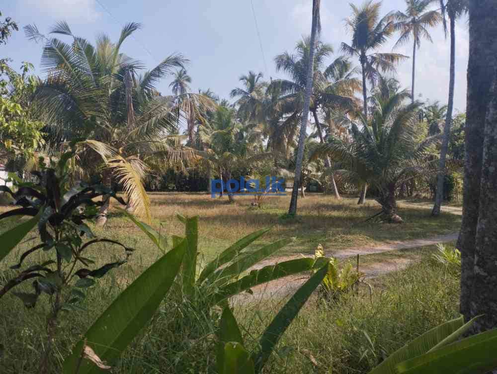 70 perches land for sale at kimbulapitiya road . - photo 4