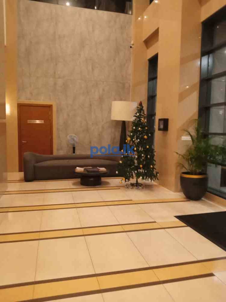 House cleaning services - photo 1