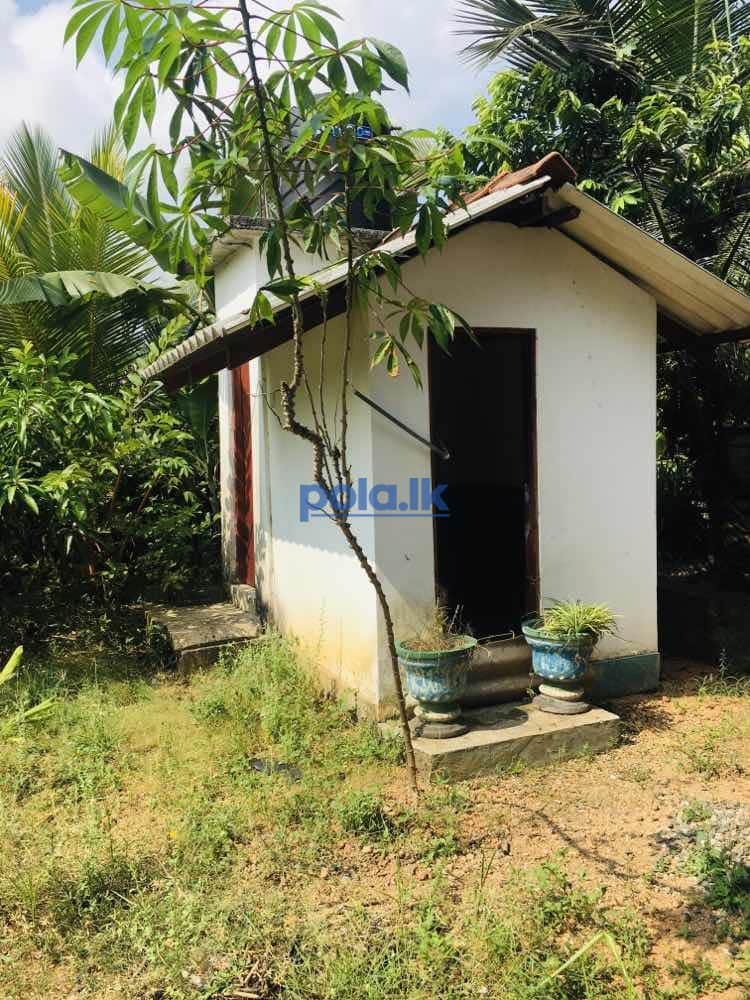 House with land for sale - photo 11