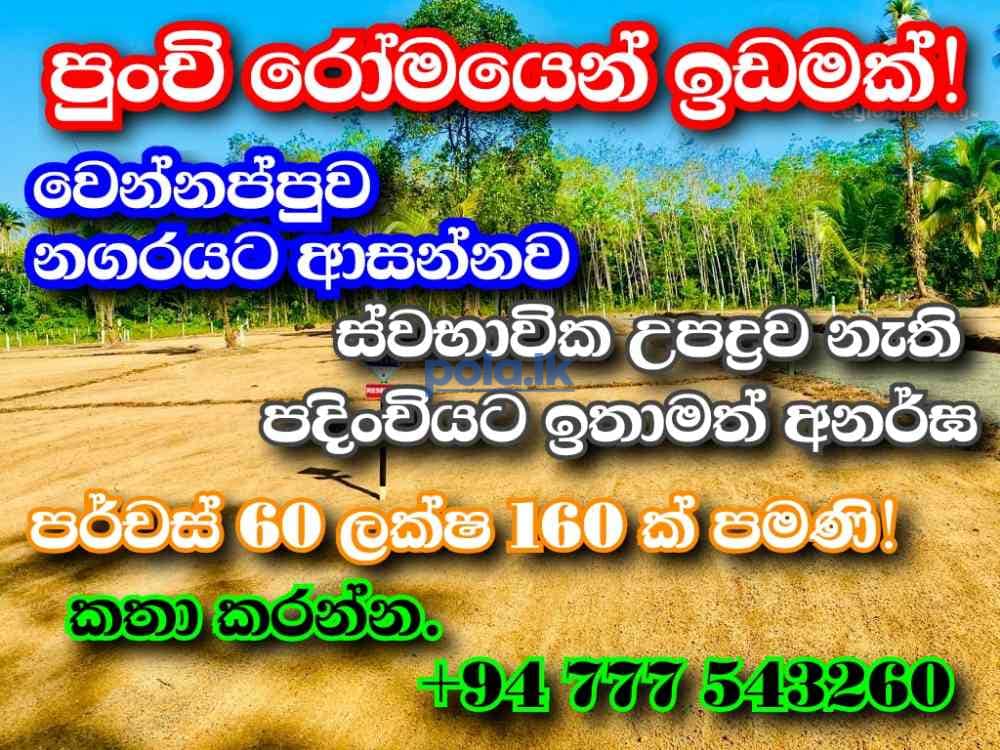 Dankotuwa land for sale - photo 1