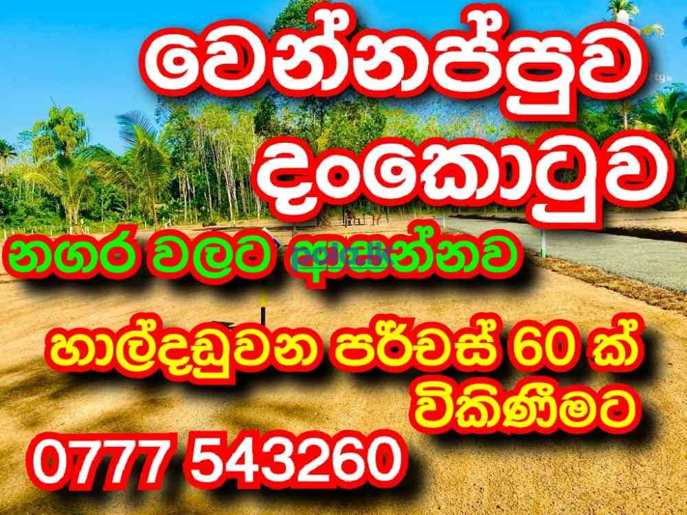 Dankotuwa land for sale - photo 3