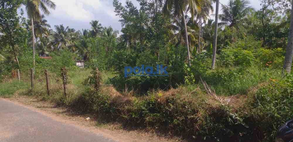 Dankotuwa land for sale - photo 9
