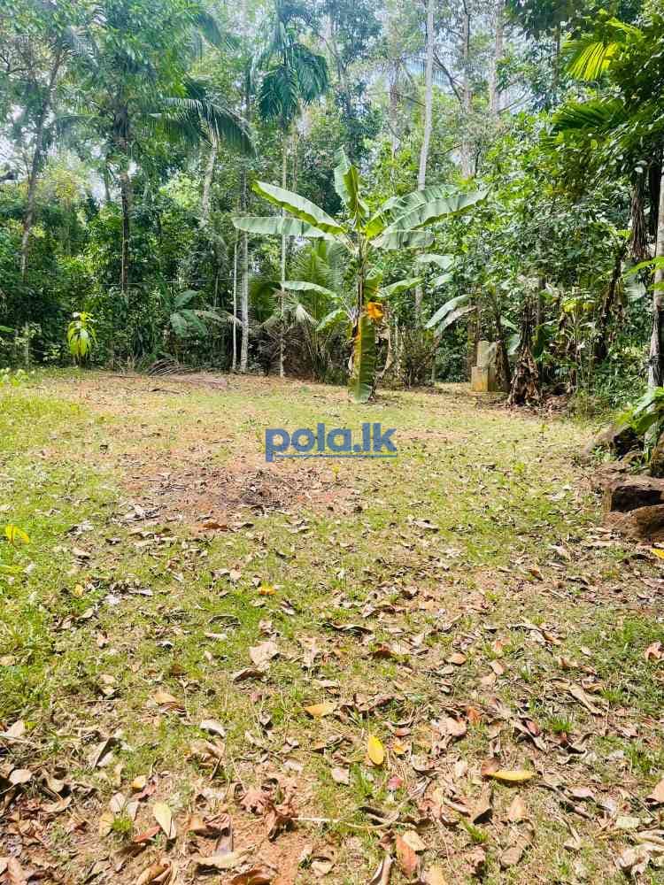 Valuable land for sale in mirigama - photo 8