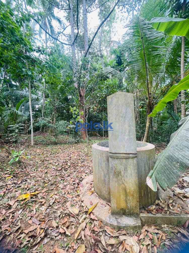 Valuable land for sale in mirigama - photo 5