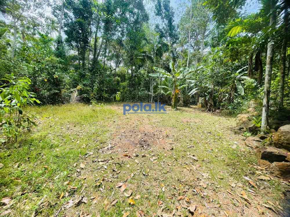 Valuable land for sale in mirigama - photo 2