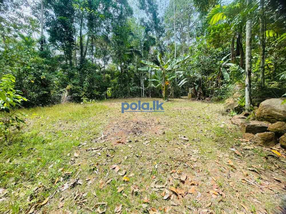 Valuable land for sale in mirigama - photo 4