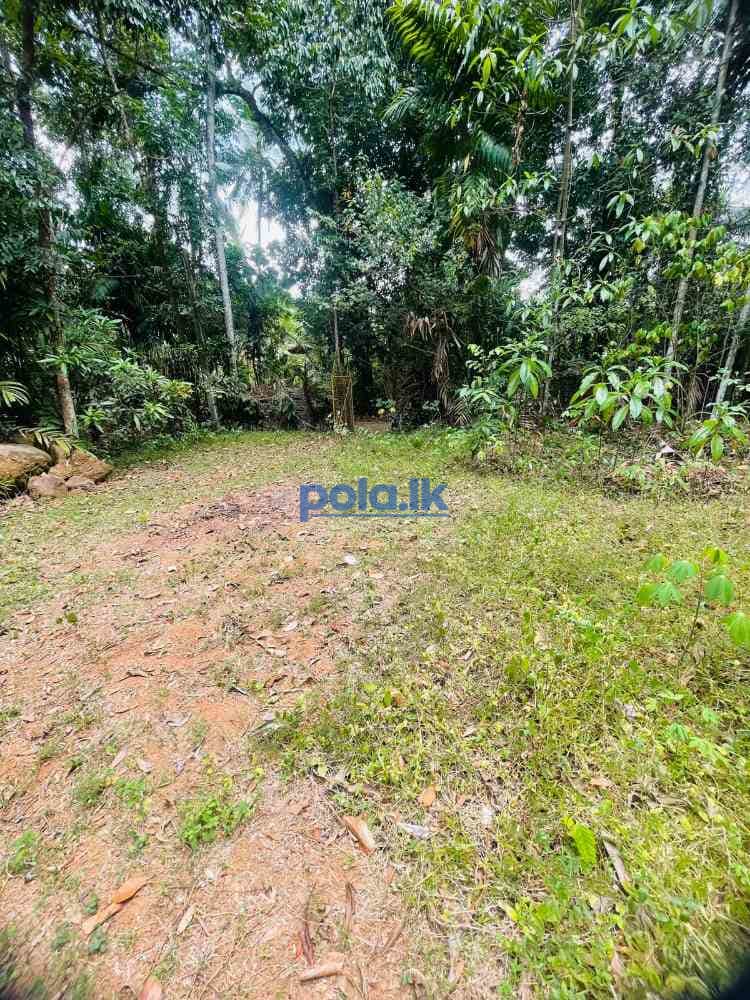 Valuable land for sale in mirigama - photo 6
