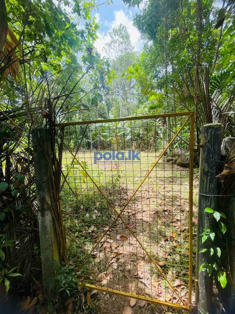 Valuable land for sale in mirigama - photo 1
