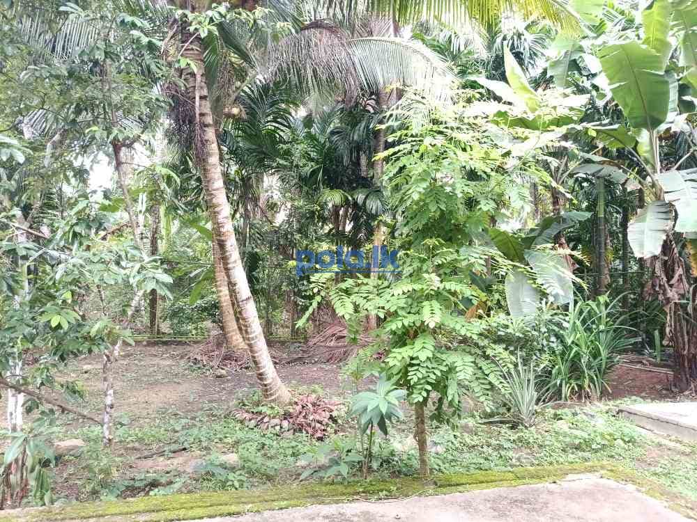 Spacious two-story house for sale inradawana weliweriya Rd - photo 12
