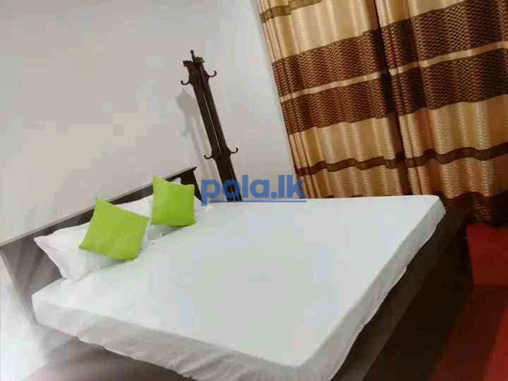 Tango house for rent - photo 3
