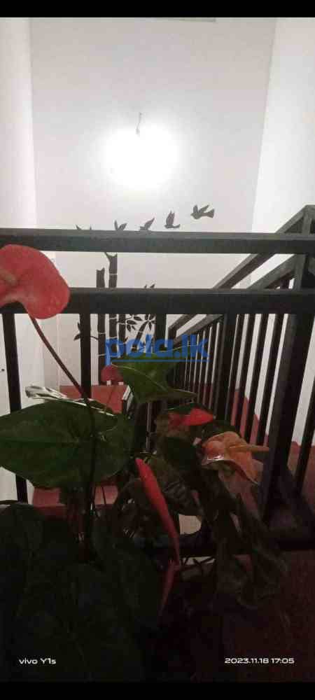 Tango house for rent - photo 8