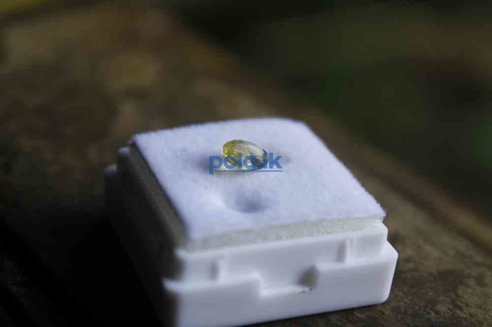 Chrysobery - photo 3