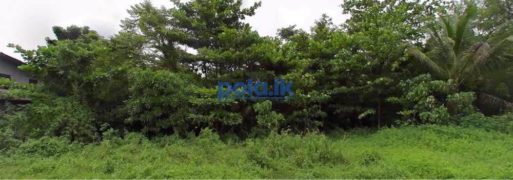 Land for sale in kaduwela - photo 1