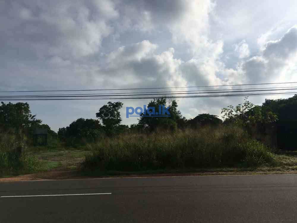 Land for sale in polonnaruwa - photo 6