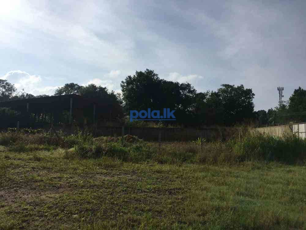 Land for sale in polonnaruwa - photo 2