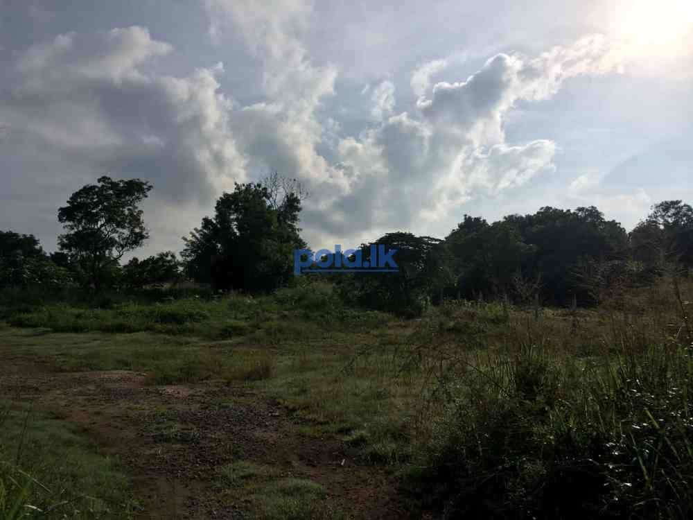 Land for sale in polonnaruwa - photo 3