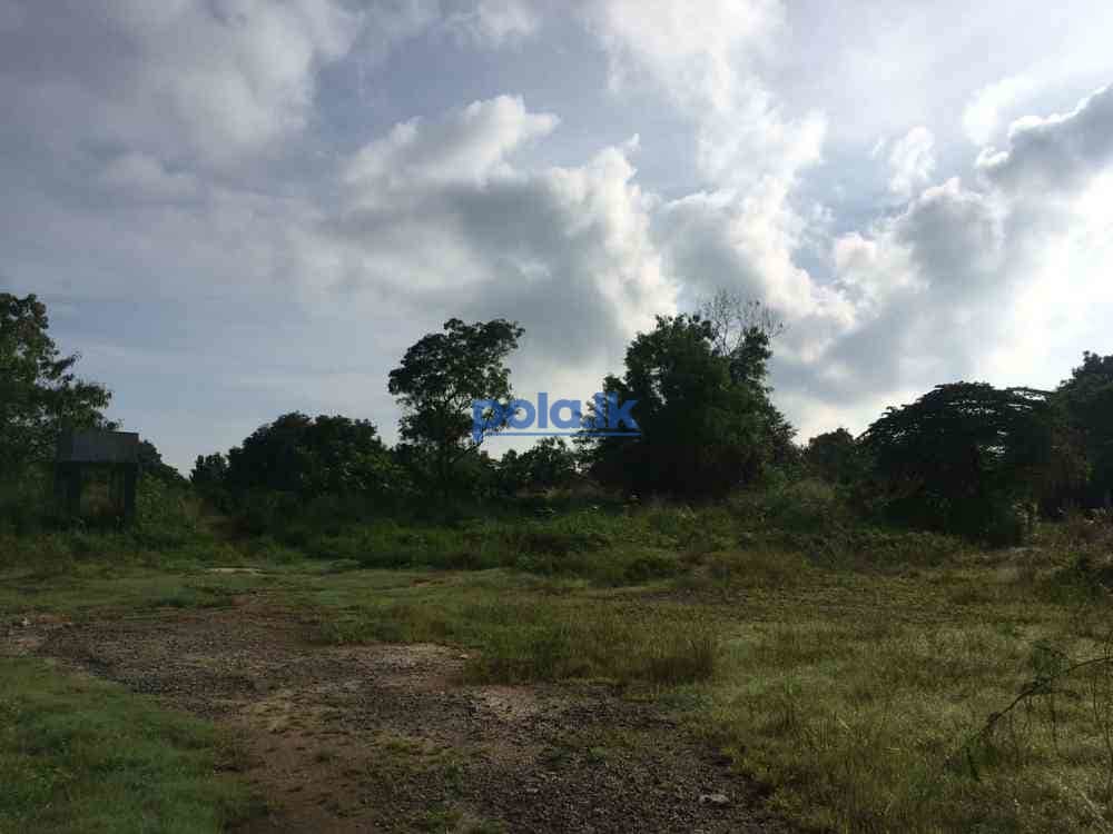 Land for sale in polonnaruwa - photo 8