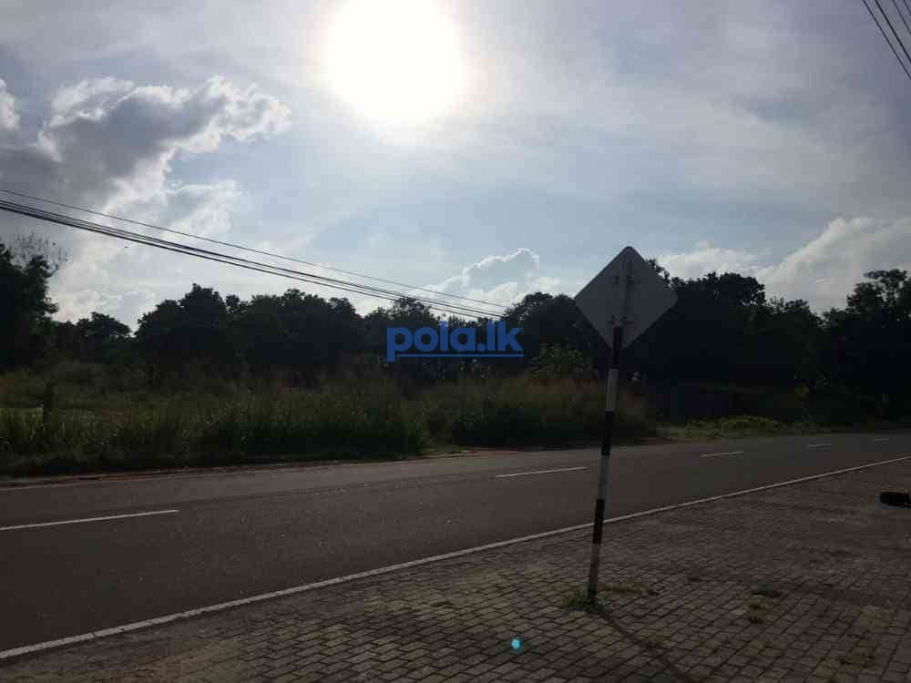 Land for sale in polonnaruwa - photo 7