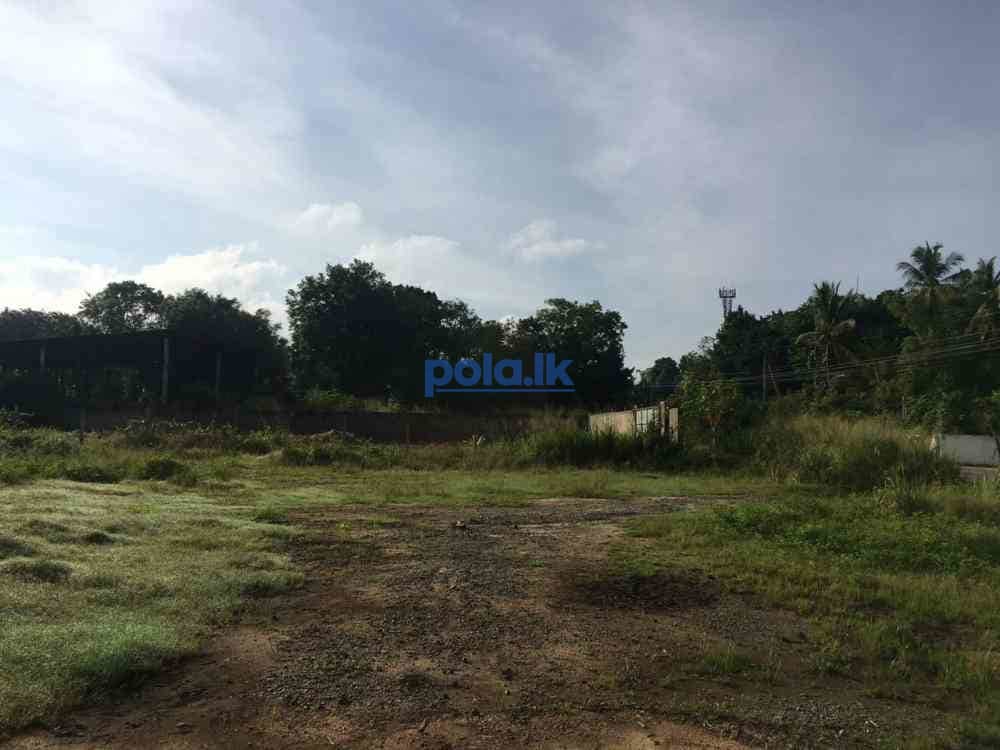Land for sale in polonnaruwa - photo 4