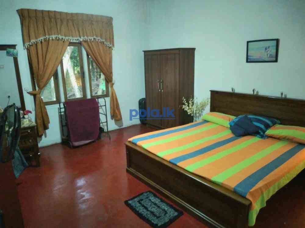 House for sale in ganemulla - photo 11