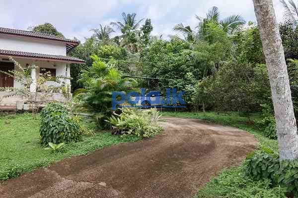 House for sale in homagama - photo 3