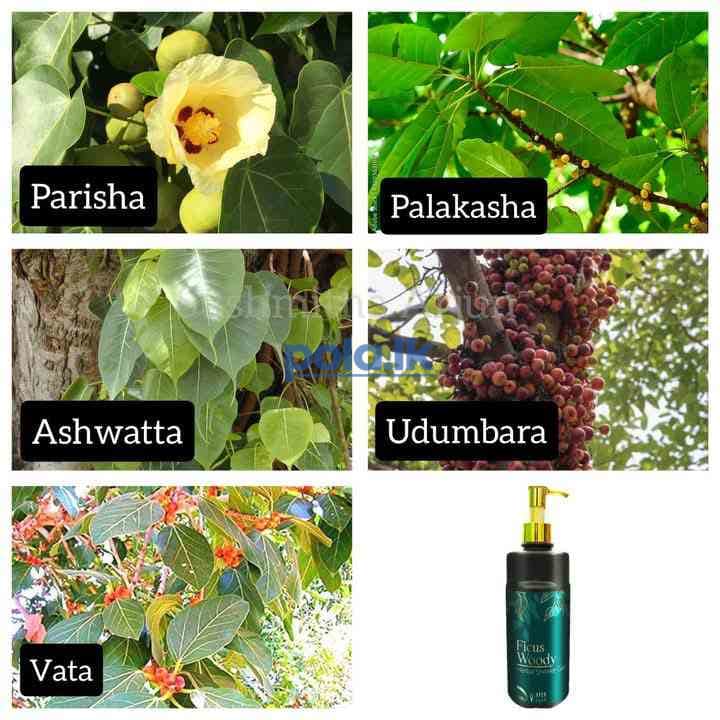 Apex aura healthy product - photo 16