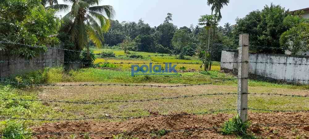 Land for sale in horana - photo 1